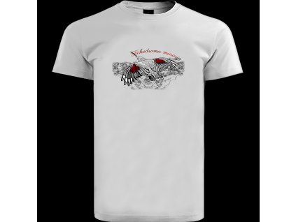 Murárik červenokrídly