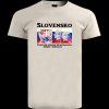 Slovensko, Štefánik