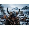 Viking (1)