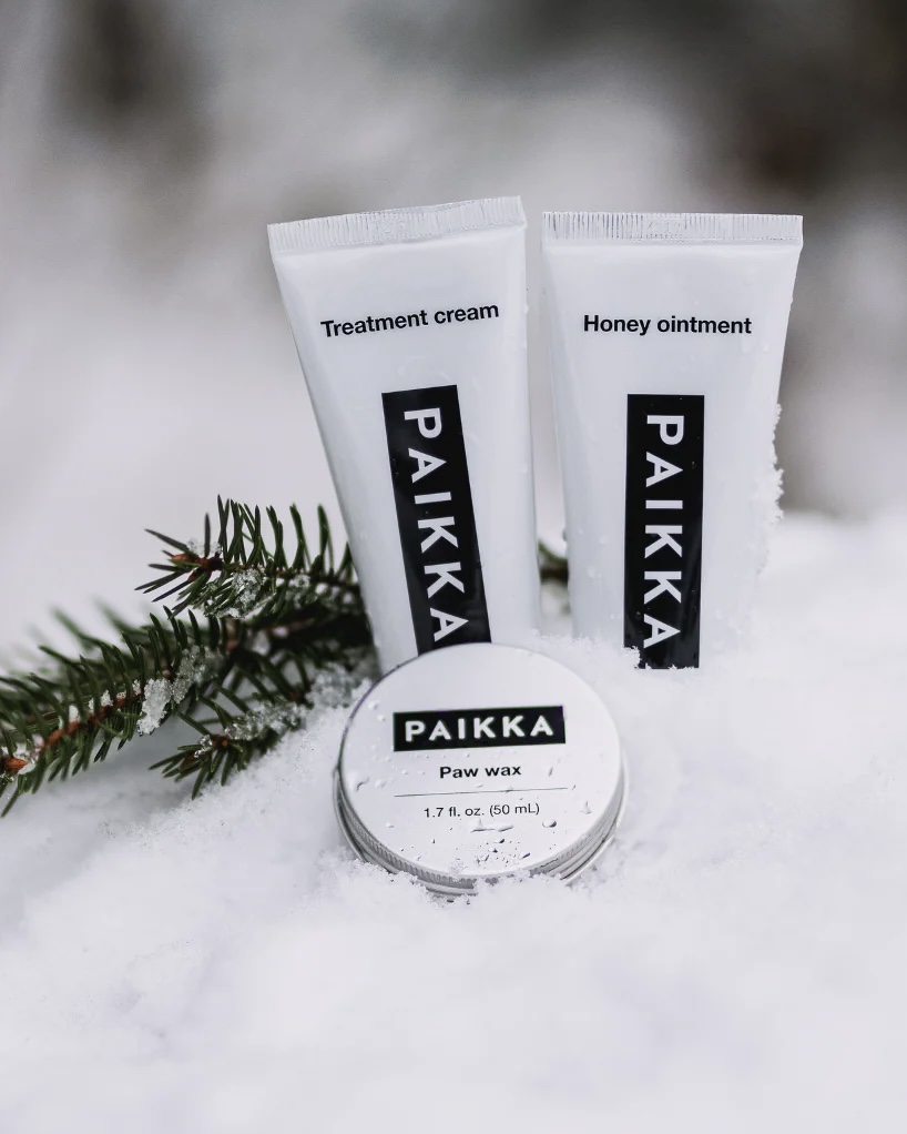 Zimní péče o kůži psa – 6 snadných tipů