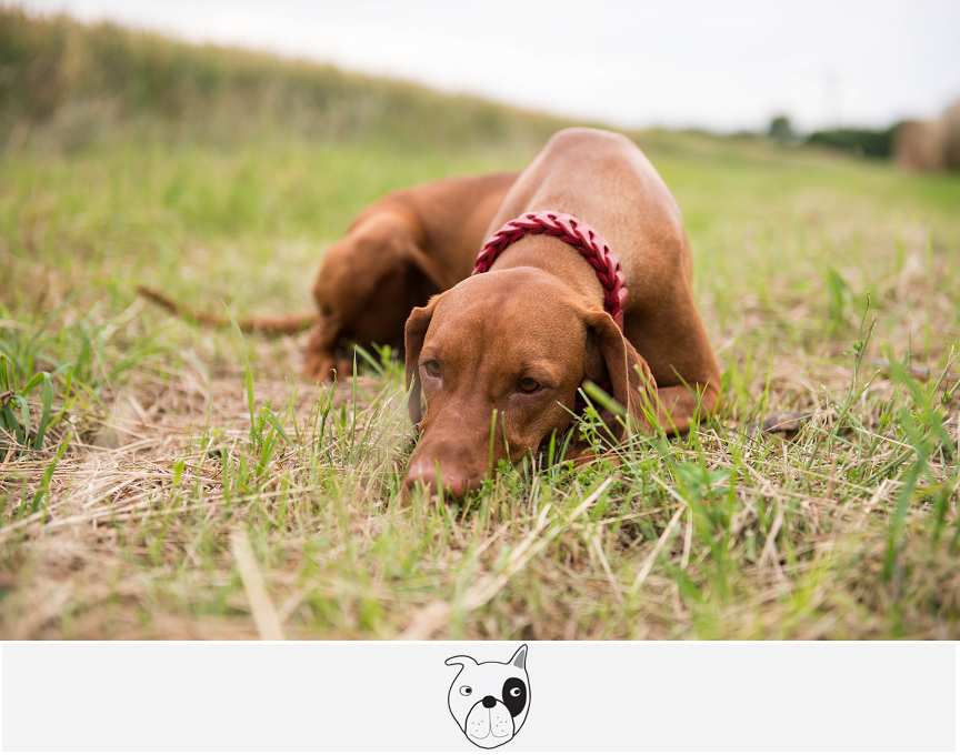 Svět podle Adunky - jak jsem se zabydlela 2