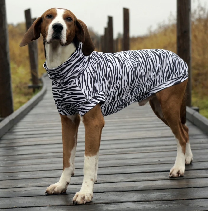 Proč je UV a ochrana proti hmyzu důležitá pro psy – a jak pomáhá PAIKKA UV & Bug Shirt