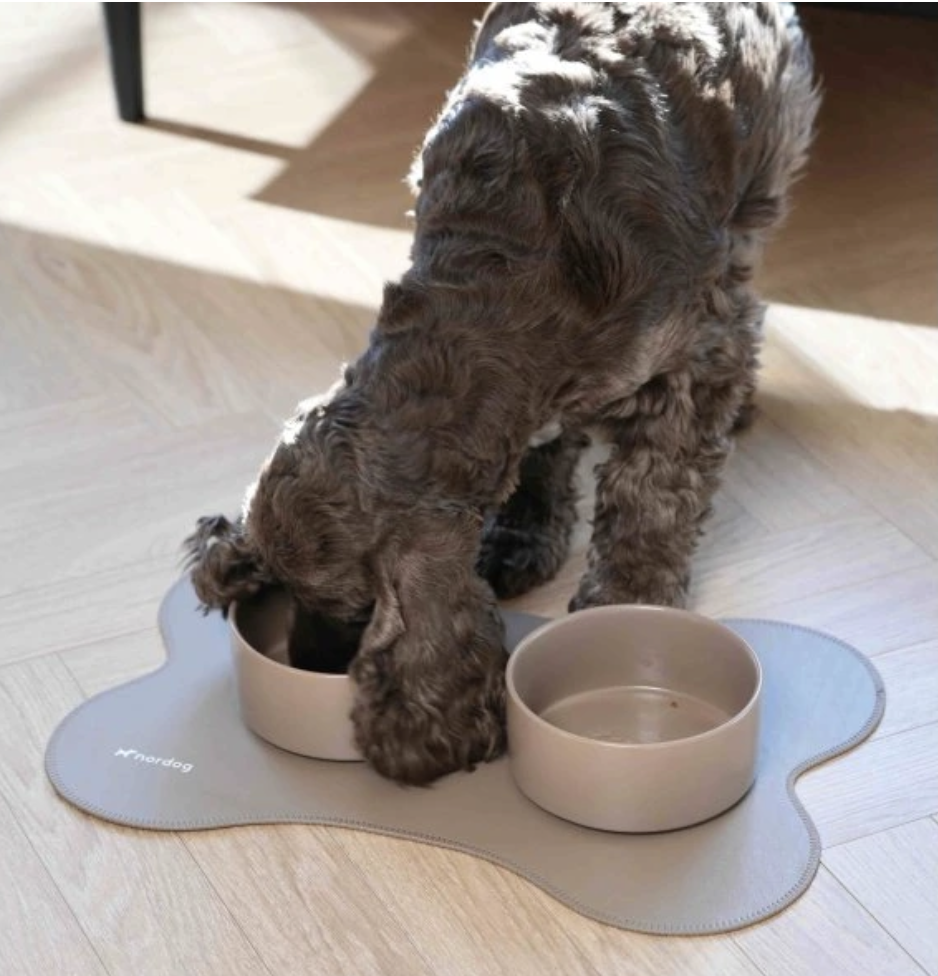 Proč pes hltá jídlo a jak jsme to vyřešili v praxi?