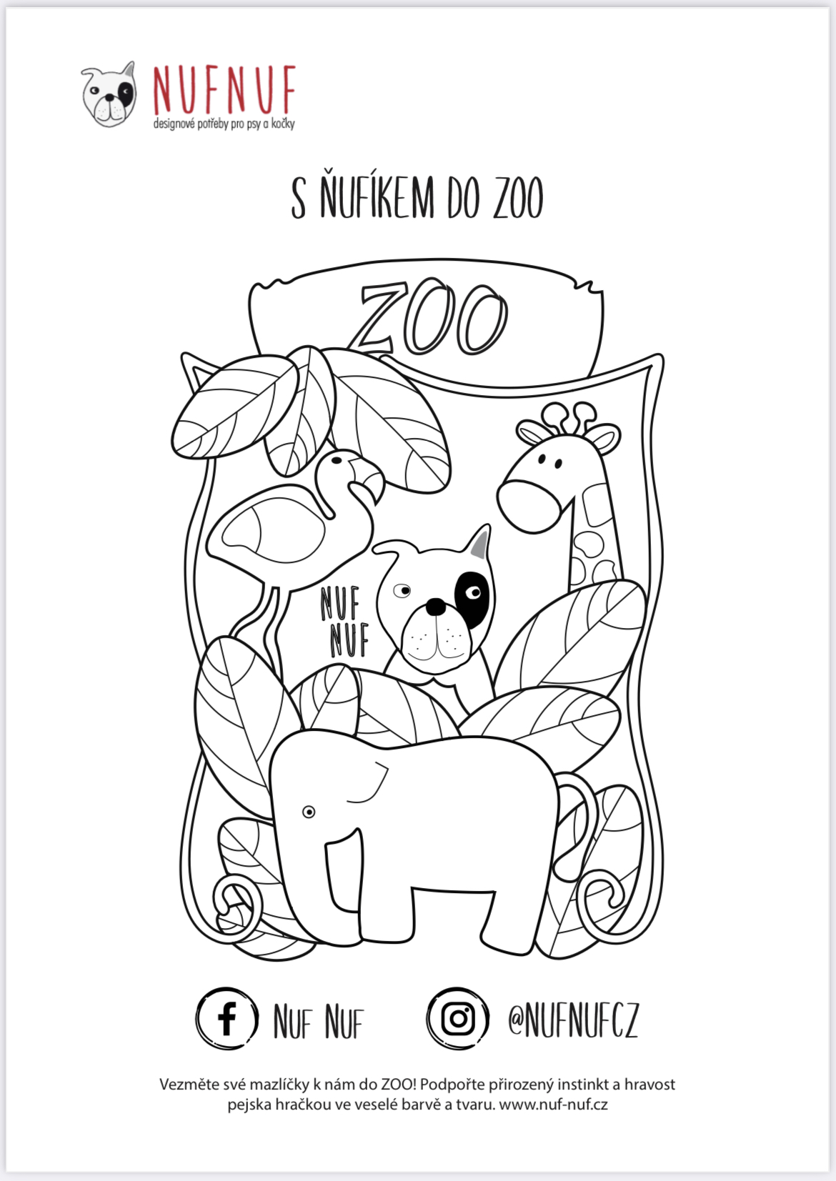 Omalovánky: S ŇUFÍKEM DO ZOO