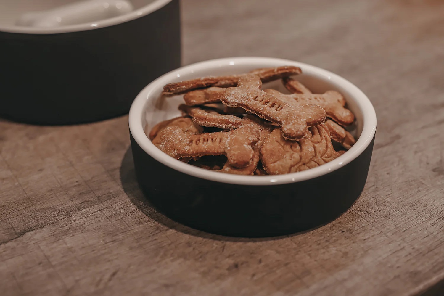 Domácí psí sušenky – snadný recept jen ze 3 ingrediencí