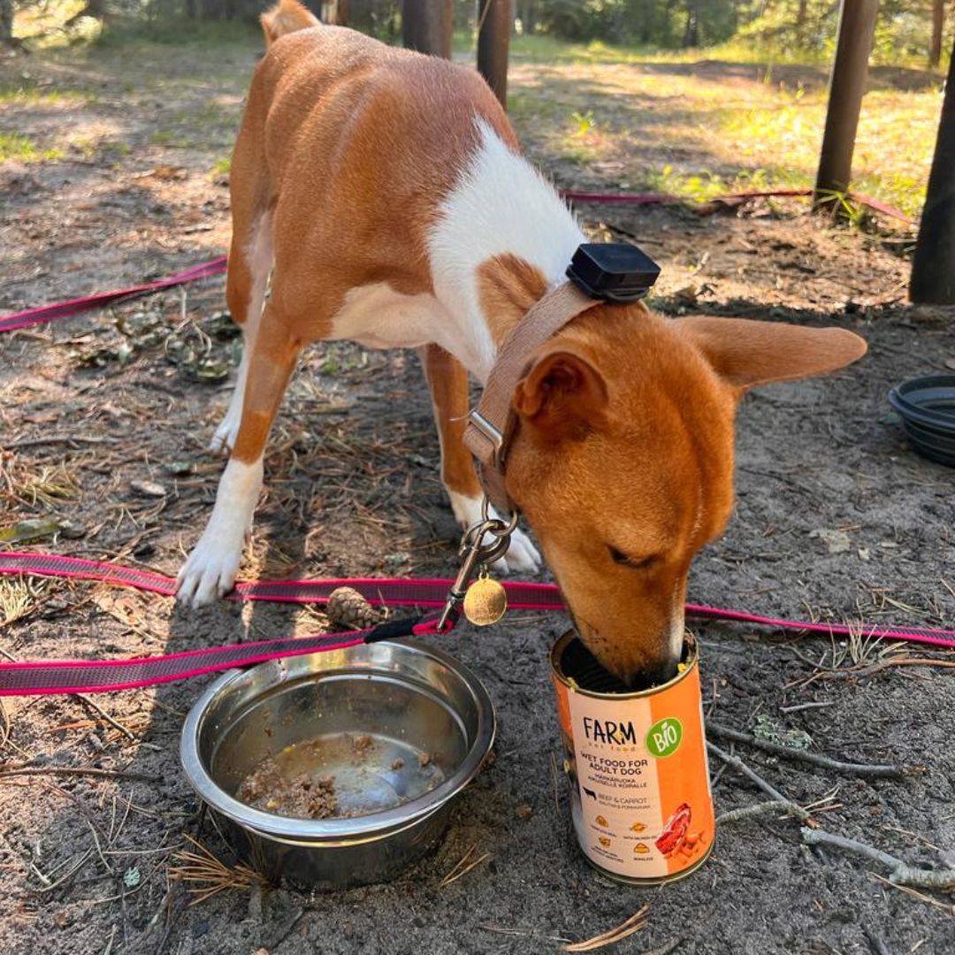 Nebezpečné potraviny | Kterým potravinám se vyvarovat?
