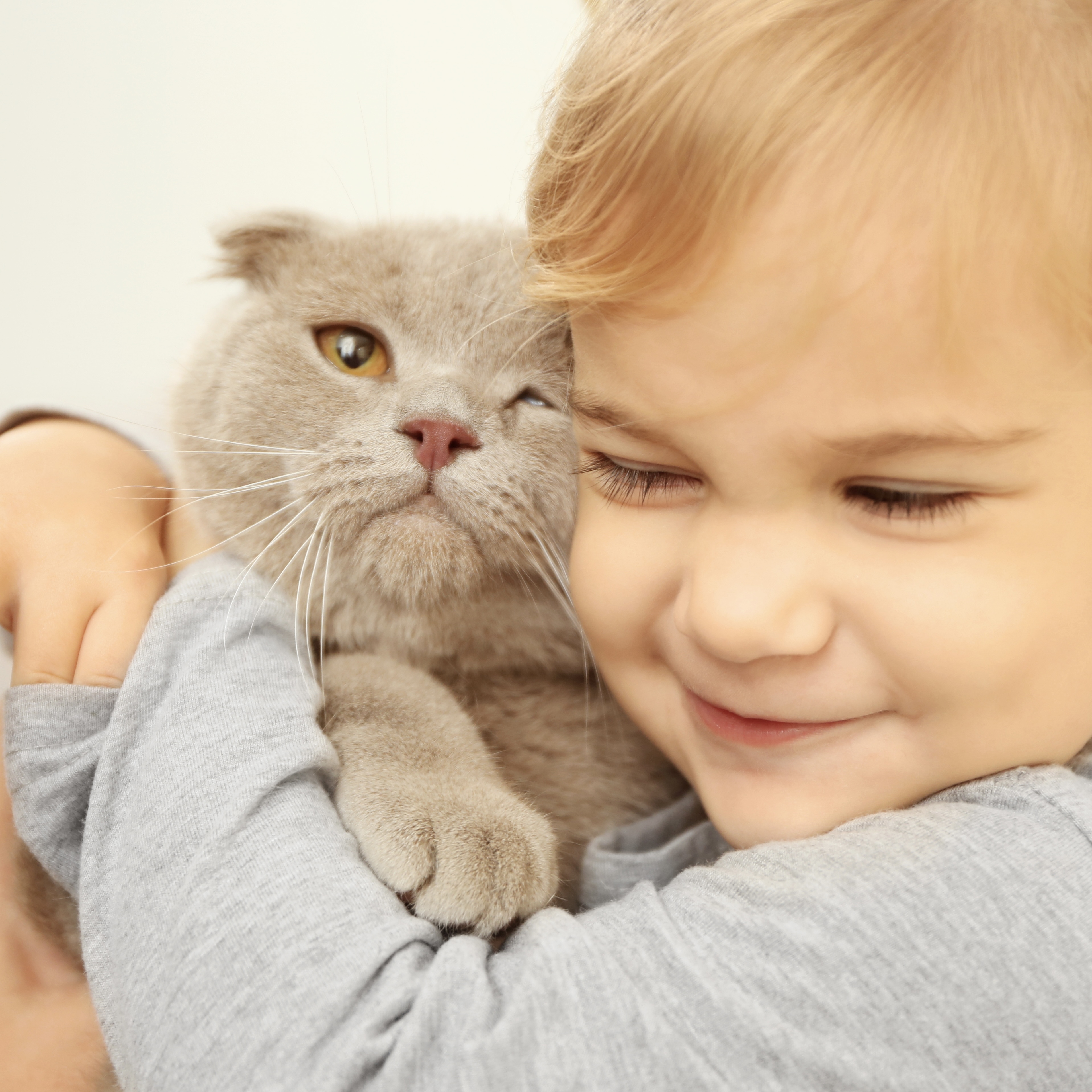 Kočičí očkování | Jak moc je pro kočky důležité?