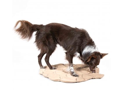 Čmuchací kobereček - Hrací podložka pro psy šiška