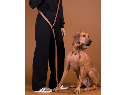multifunkcni-voditko-pro-psy-hnede