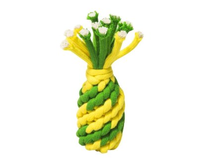 hracka-pro-psy-Strelka-ananas