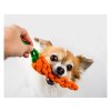 Hracka pro psy Strelka mrkev(2)