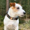 designovy-obojek-pro-psy-woodland