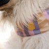 soft-martingale-obojek-pro-psy-woolly-wolf-sunshower