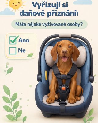 Finančák: „Máte vyživované osoby?“ Podívám se na psa ✔️ Ano 😂🐶 #pes #pejsek #psilaska #milujipsy #zivotsepsem #doglife...