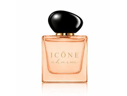 ICÔNE charm web LEPŠÍ