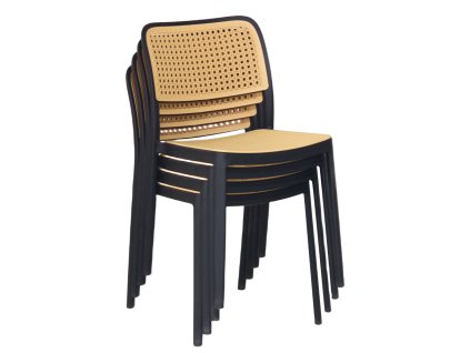 ravid typ 1 cierna 04