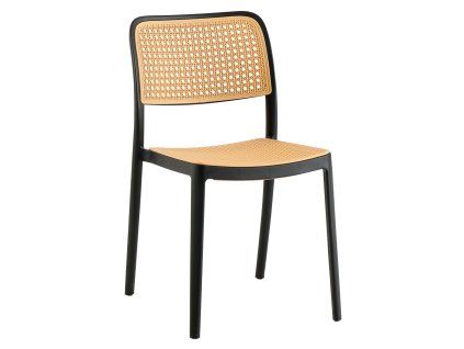 ravid typ 1 cierna 01