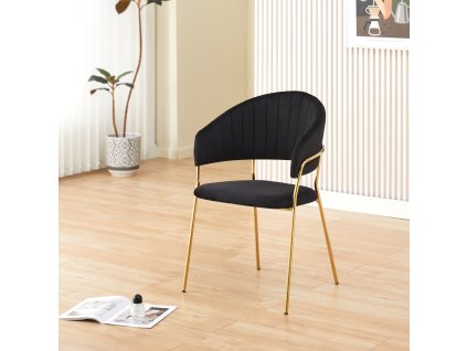 dasmin typ 1 cierna 07