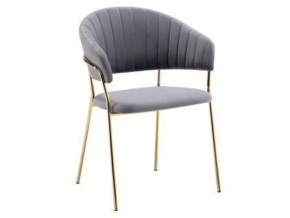 dasmin typ 1 sivohneda 01