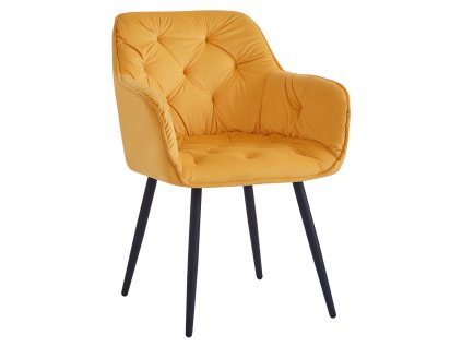 fedris new stolicka zlta 00