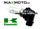 92069 0019 ziarovka KAWASAKI BRUTEFORCE 750