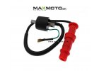 Indukcna cievka s fajkou POLARIS Sportsman Ranger 400 500 96 08 3085227 3084690 IC 3085227