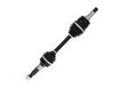 poloos cf moto gladiator 9dqv270100300M2
