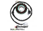 Stator KAWASAKI ESG181 21003 S006