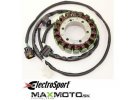 Stator SUZUKI ESG310 32101 09F01