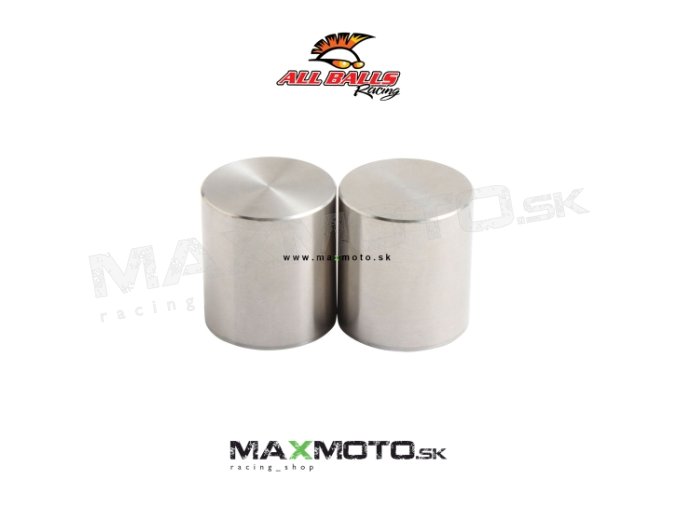 Brzdový piestik HONDA ATC 250 350R TRX 250R XL 600R KAWASAKI KLF 300C 400 a iné predný 18 9028