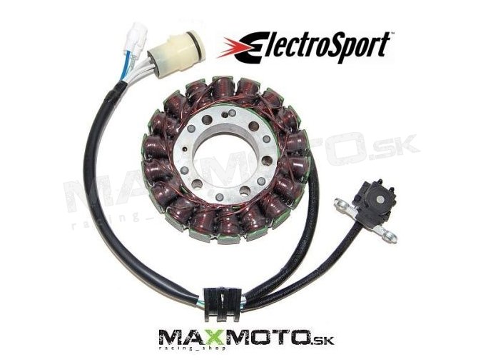 Stator YAMAHA RAPTOR 700 06-20, 1S3-81410-00-00