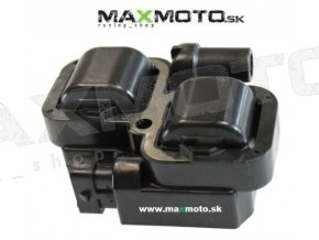 Indukcna cievka pre Can Am Outlander Maverick Spyder Renegade 270600002 278001546 420266070 278001546