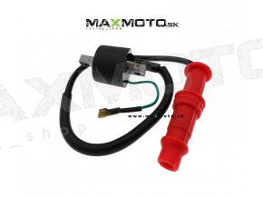 Indukcna cievka s fajkou POLARIS Sportsman Ranger 400 500 96 08 3085227 3084690 IC 3085227