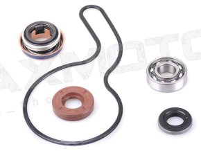 opravna sada vodnej pumpy polaris sportsman rzr ranger 3610075