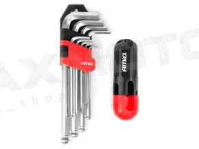Imbusove kluce AMIO AM04302