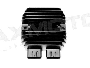 regulator napatia segway A01M04400001