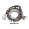 Stator RM01103 5