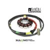 Stator CAN AM Commander 800 Maverick 1000 Outlander Renegade 570 650 850 1000 420685634 AU 01100 2