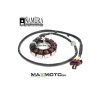 Stator CAN AM Maverick Turbo RR Maverick Max Turbo RR 21 23 420686363 AU 01102 2