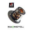 Termostat Access MAX 750 Thermostat Assy 15300 E12 100 2