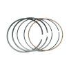 Piestne kruzka ACCESS MAX 650 13310 E12 100 1
