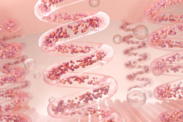 Why is collagen so important?