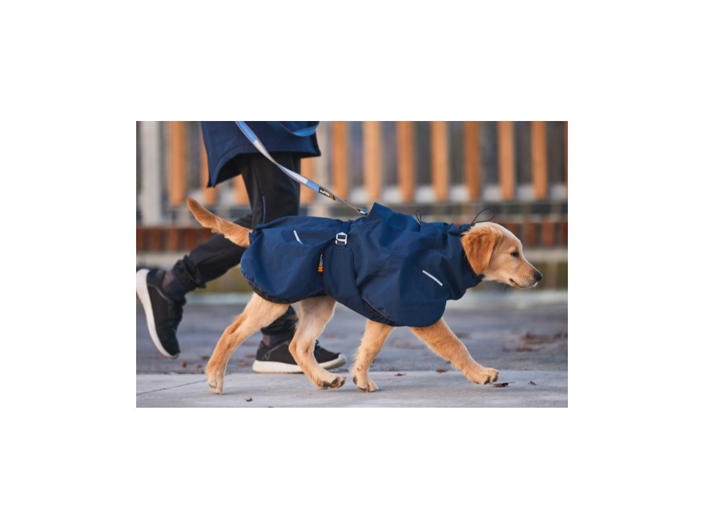 embeddable 9d0a1e3c 8938 4fe2 a424 8c4b6c57eb0a
