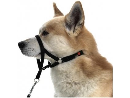 6dccdd7b7d24bf826cc1cc89ed62e558