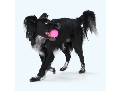 b92da65dc6b98c591478a72837e0a73ea67accc3