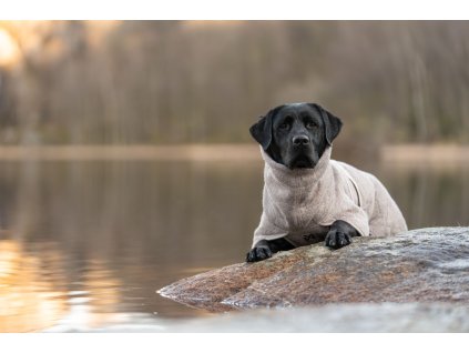 da554d1e3334301c9d41e4a78b437e2f40a82a60