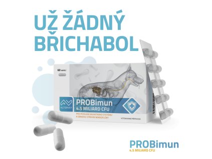 8193c289e21a517aa665b8278643a02c probimun 4000x4000 2025kreslici platno 1