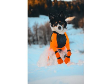 5a891dca052db11c212caeda124df673841e1085