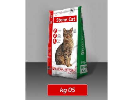 stone cat