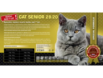 senior cat